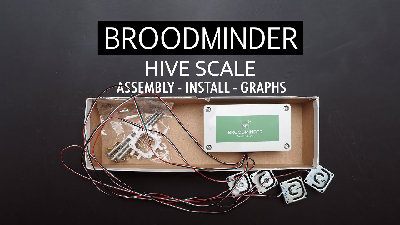 Масштаб улья Broodminder