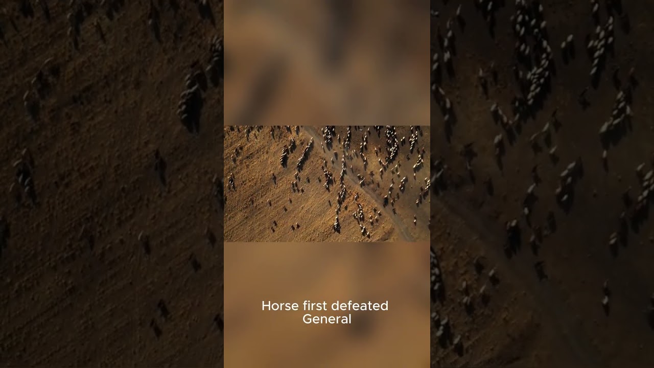 The Glory and Fall of Crazy Horse: Intrigue, Surrender, and Tragedy