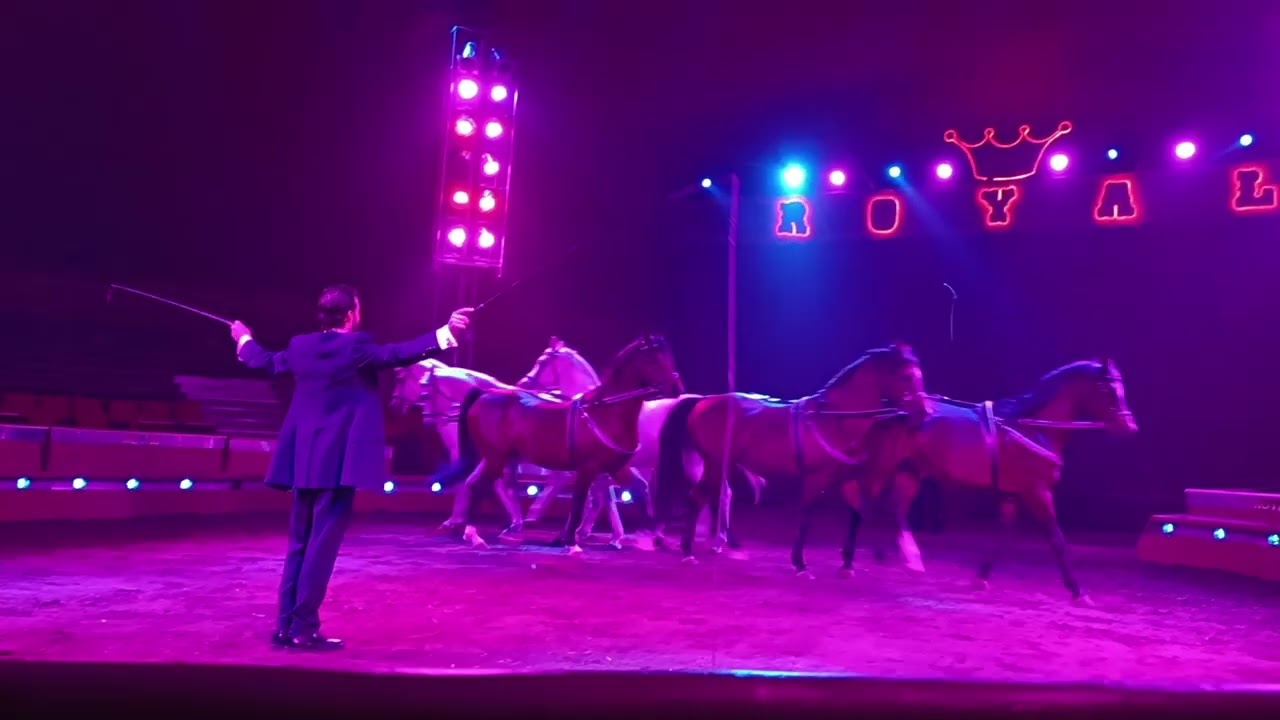 👑 IMPERIAL 👑 ROYAL CIRCUS 🎪