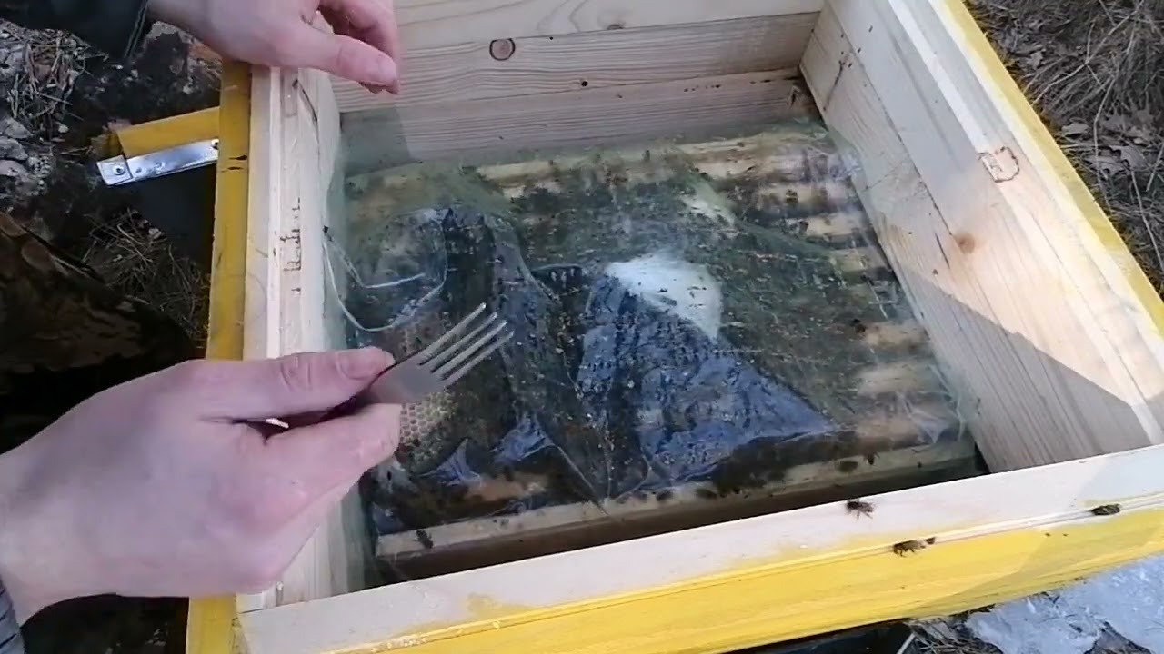 Работа в марте на пасеке!