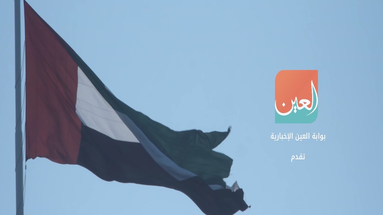 فيديو 