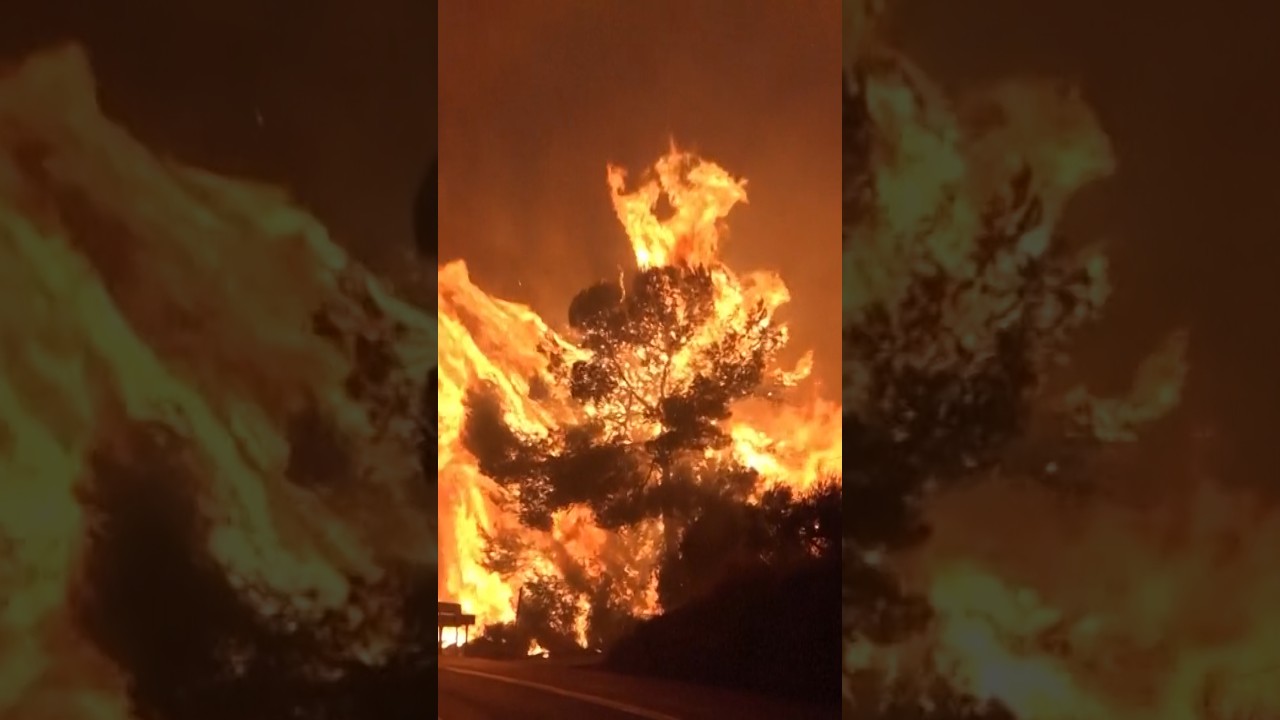 More evacuations in Spain as wildfires spread