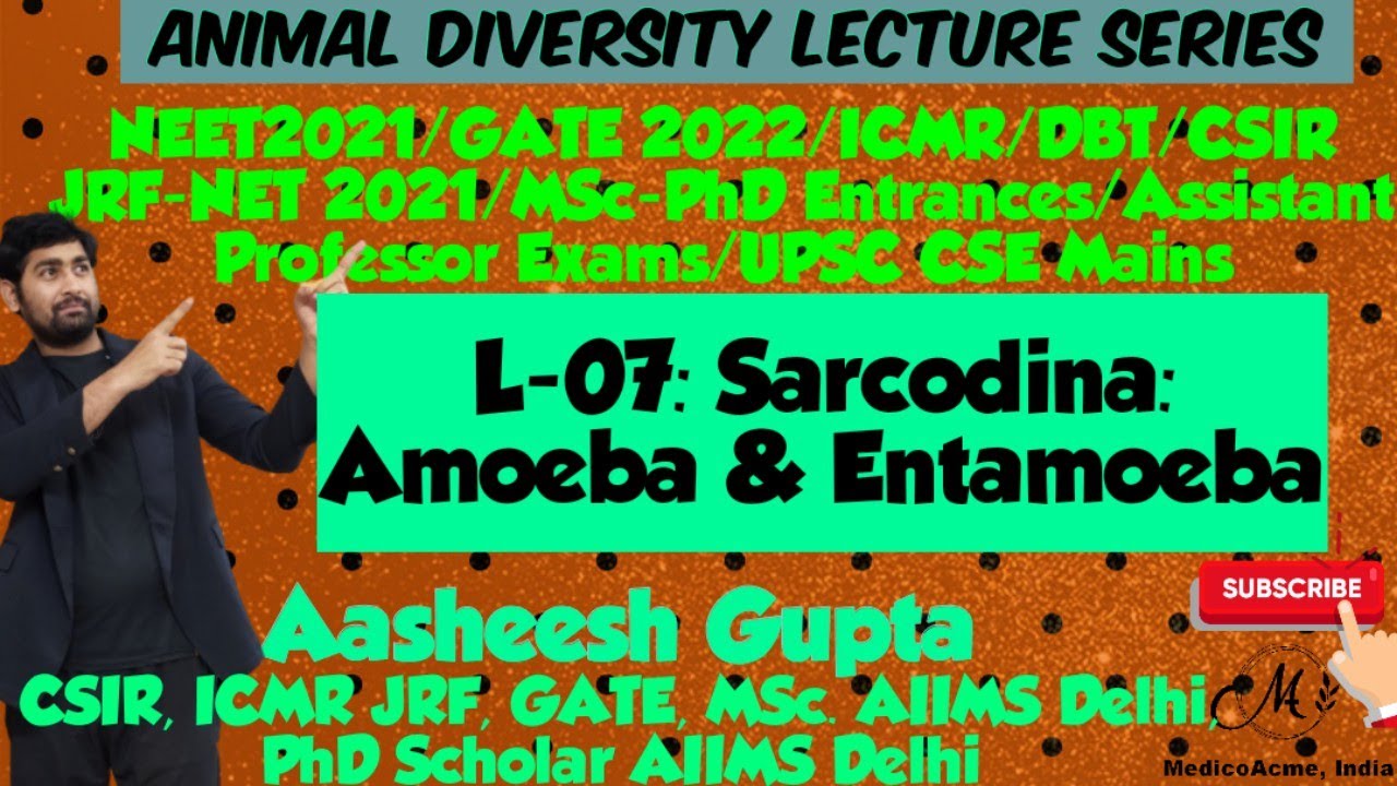 L-07: Sarcodina: Rhizopoda - Amoeba and Entamoeba | Amoebiasis | Sol-Gel Theory | E. histolytica