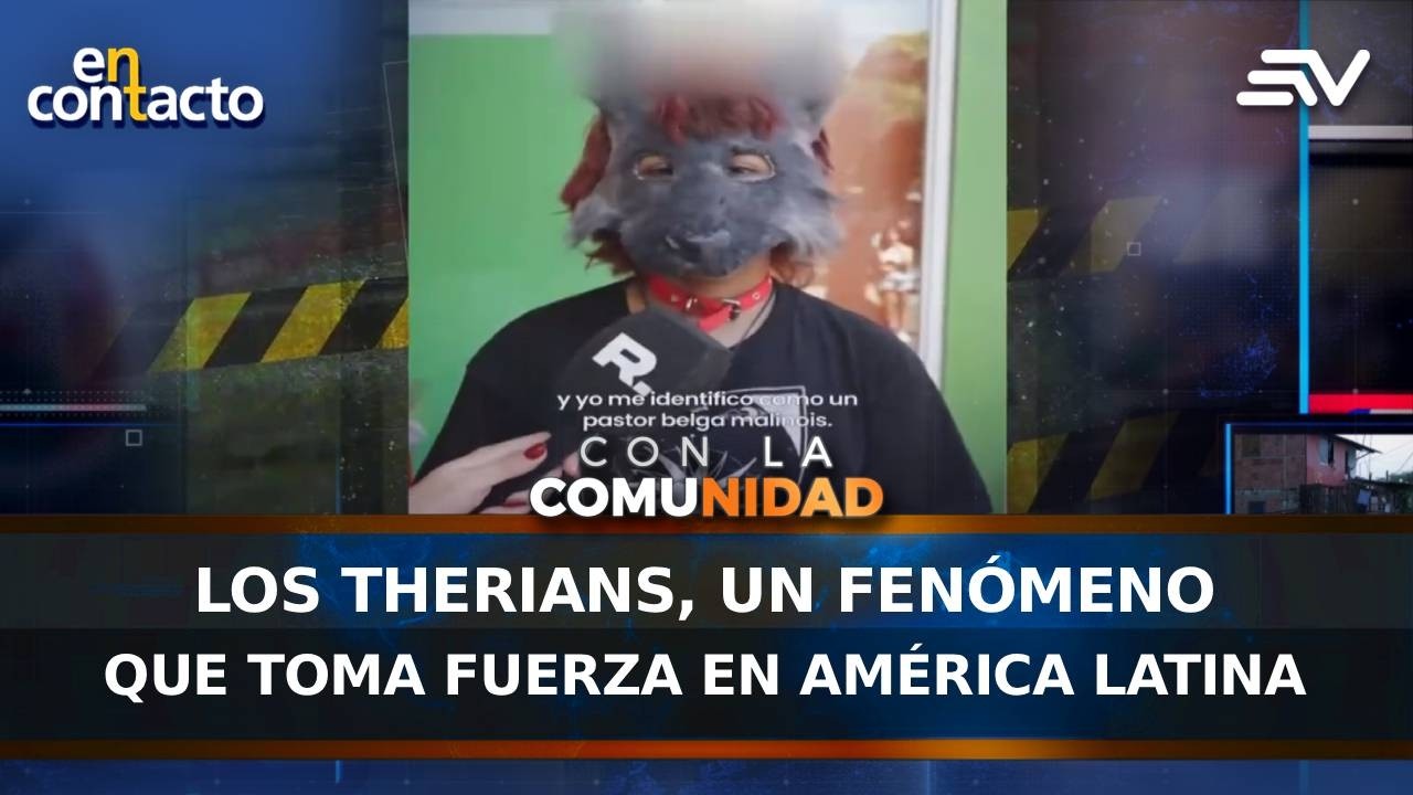 Los therians, un fenómeno que toma fuerza en América Latina | En Contacto | Ecuavisa