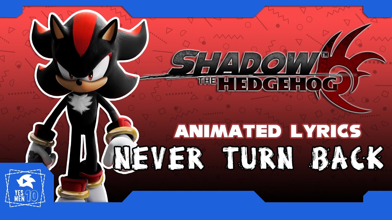 SHADOW THE HEDGEHOG 