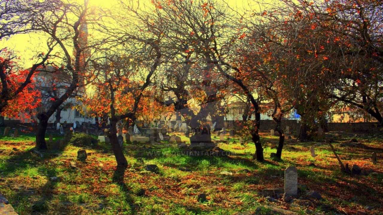 Jakup Asipi - VDEKJA !!! Perpilim interesant [Allahu e Meshiroftë].