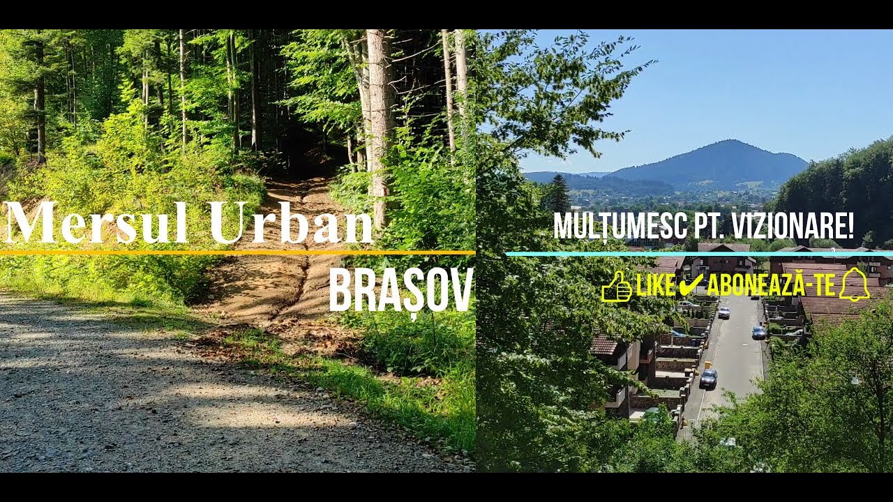 🚶‍♂️Din Noua spre Dârste prin pădure │Brașov 🇷🇴 (4 August 2022) ☀