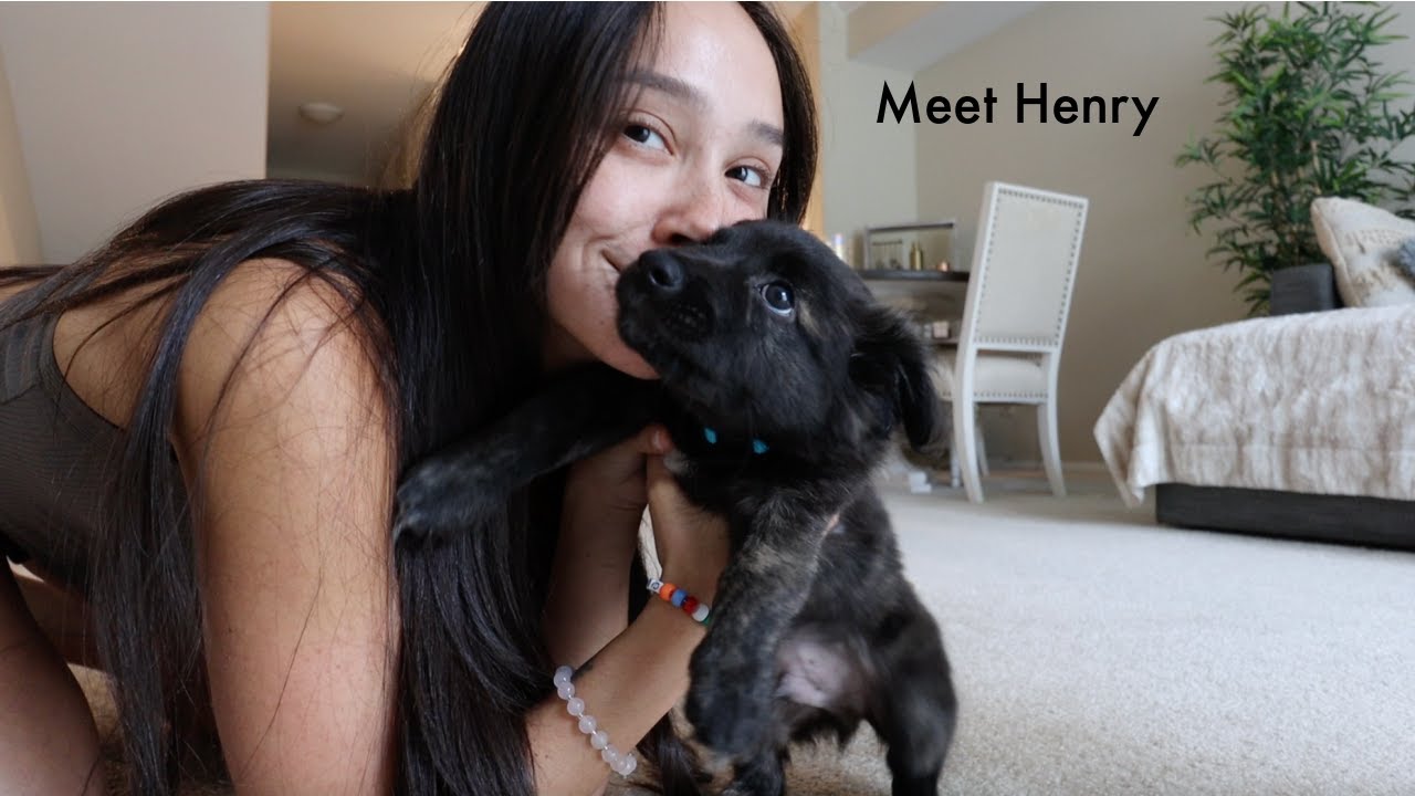 A MINI MORNING VLOG // officially a dog mom!!