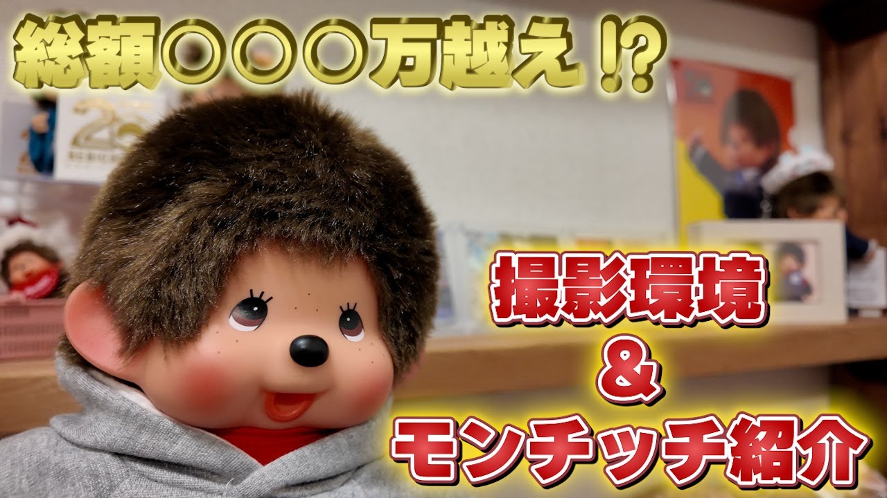 【モンチッチ】総額○○○万越え⁉撮影環境＆モンチッチ紹介！