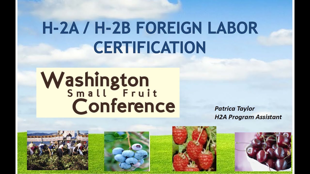 H-2A/H-2B Foreign Labor Certification, Patricia Taylor wafla
