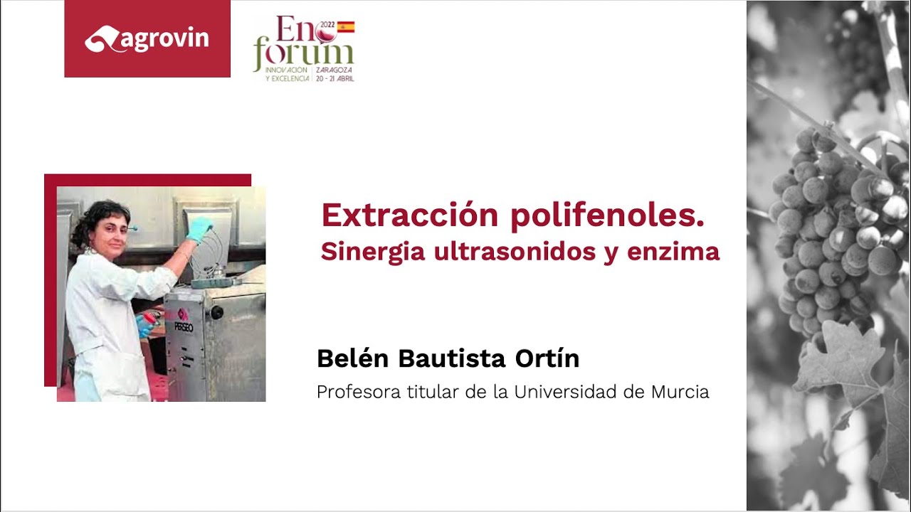 2022 Enoforum Extracci&oacute;n polifenoles. Sinergia ultrasonidos y enzimas.