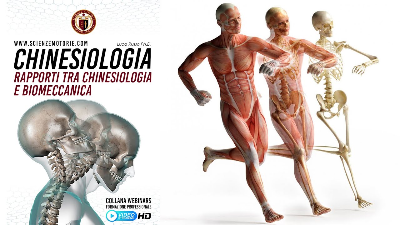 RAPPORTI TRA CHINESIOLOGIA E BIOMECCANICA - Estratto