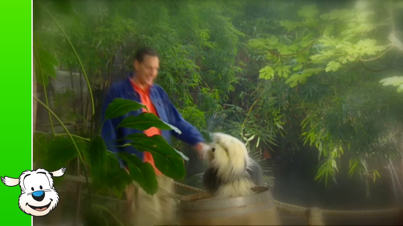 Samson & Gert - Beste vriend op Aarde