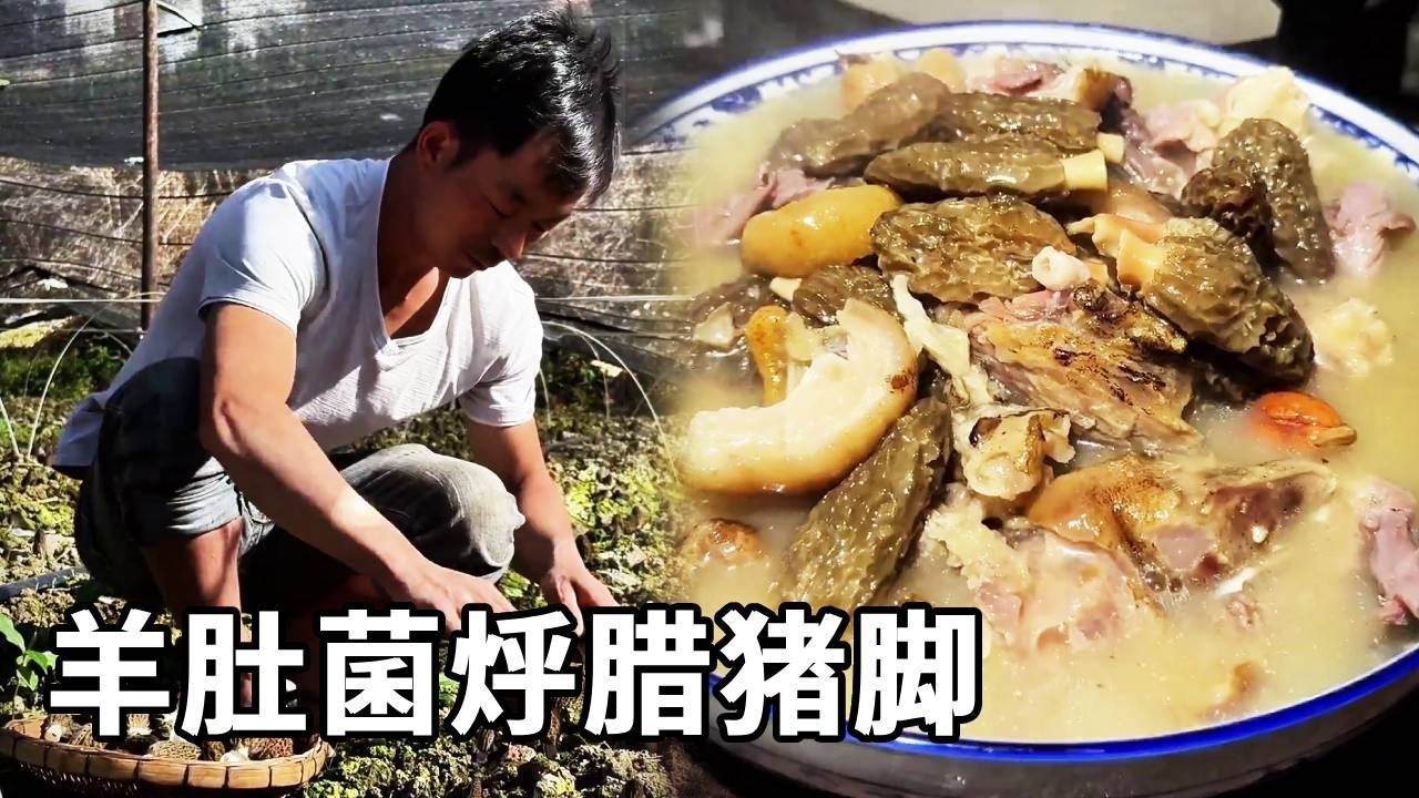 羊肚菌烀腊猪脚 | 高黎贡山下的鲜羊肚菌，配上腊猪脚慢烀，腾冲冬日的顶配