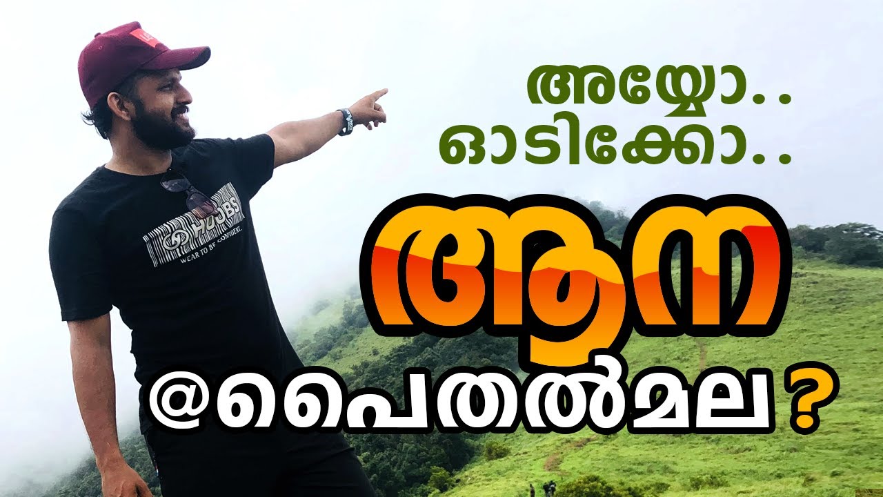 പൈതല്‍മലയിലെ ഒരു ആനക്കാര്യം !!! Amazing  |   Paithalmala Viewpoint | Kannur | Kerala | Lets Begin