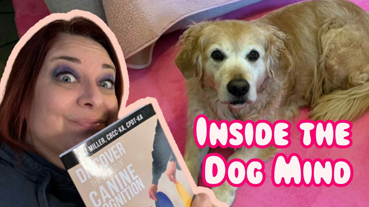 Dog Cognition in a new book by Pat Miller