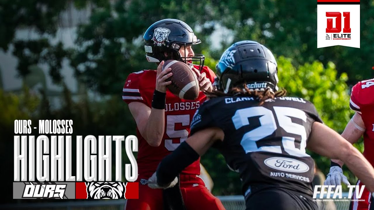 Ours (Toulouse) - Molosses (Asnières) | Wild Card 2 | le résumé de 10 minutes | D1 2024-2025