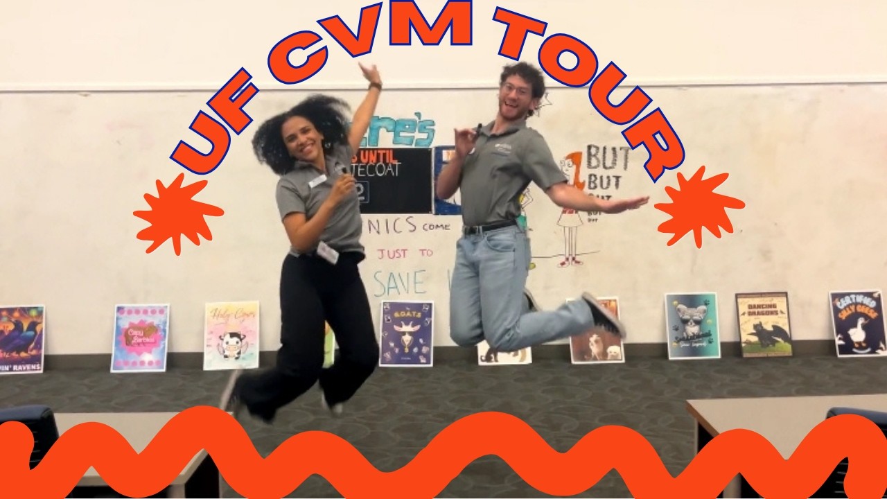 Tour the University of Florida College of Veterinary Medicine | Student Ambassador Tour