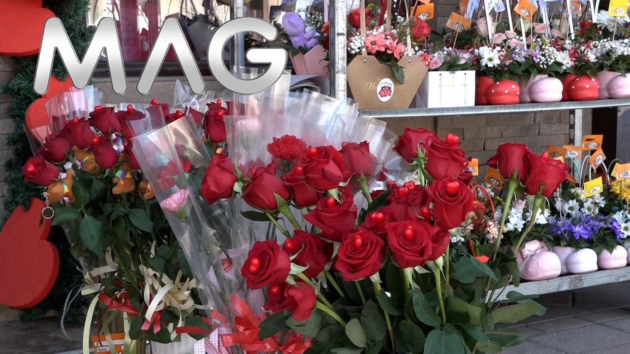 8. mart je praznik koji volimo