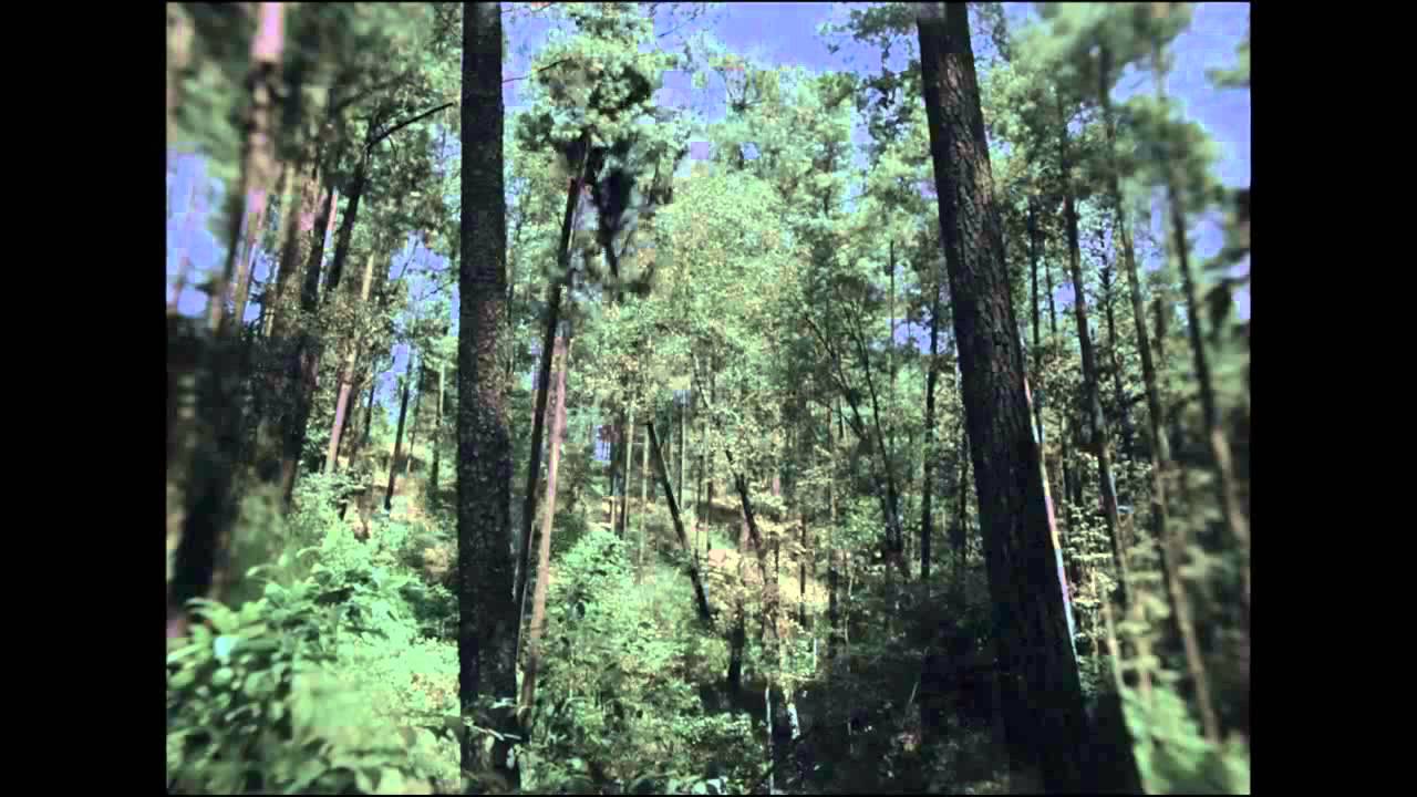 Post Tenebras Lux - Trailer (HD)