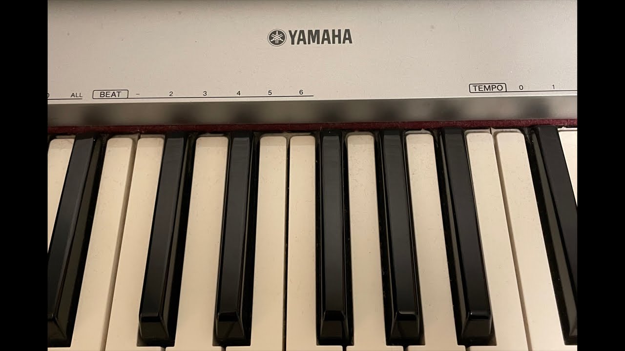 Piano Hanon (Do I blend in?)