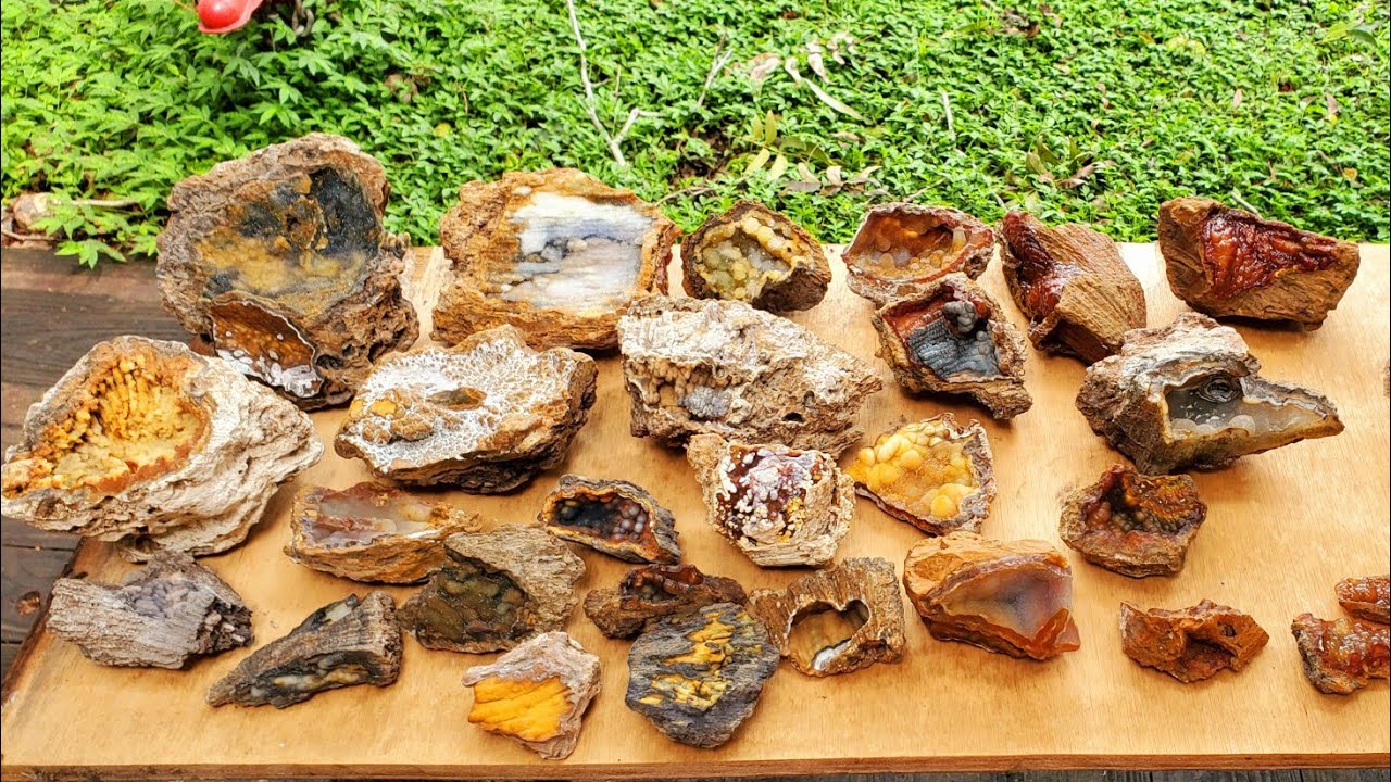 My AMAZING Agatized Coral Finds From My First Hunt Ever!