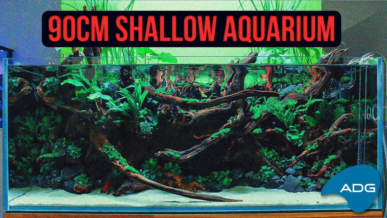 90cm SHALLOW-style Aquarium, FULL BUILD