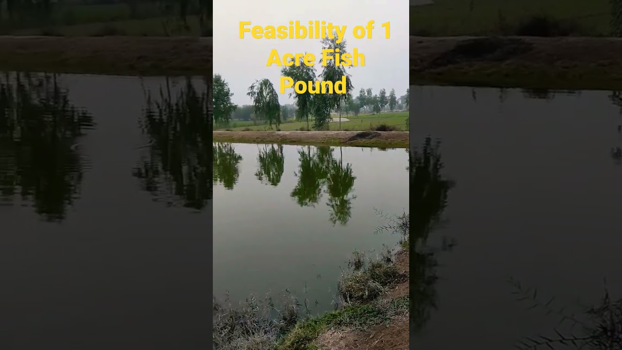 Feasibility of 1 Acre Fish Pound #shorts #fishfarming 🎏
