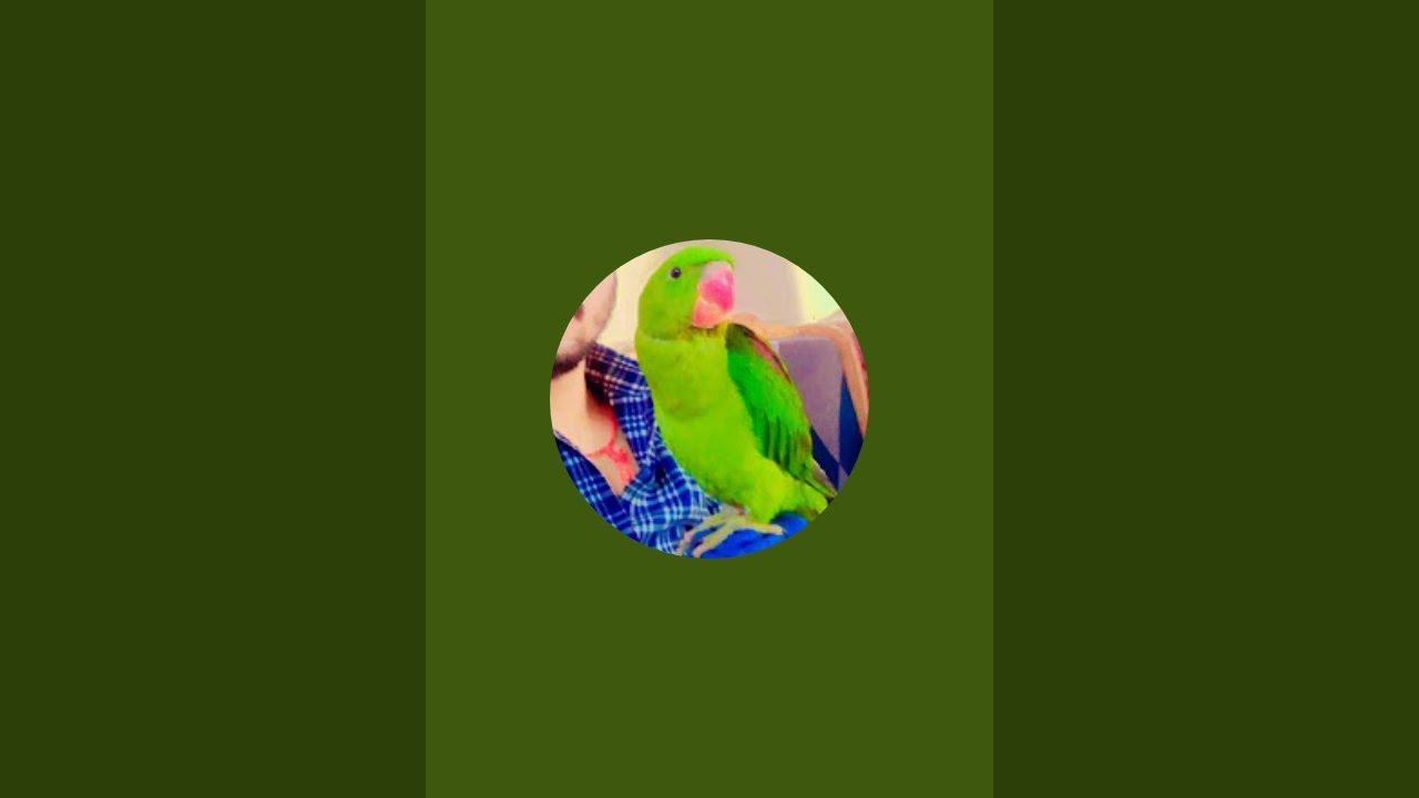my mithu is live!