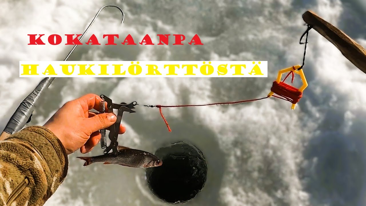 Iskukoukut napsuu!