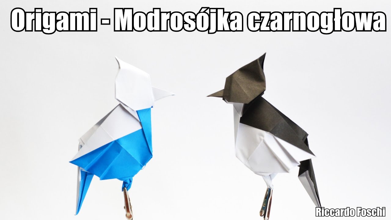 Origami - Modrosójka czarnogłowa