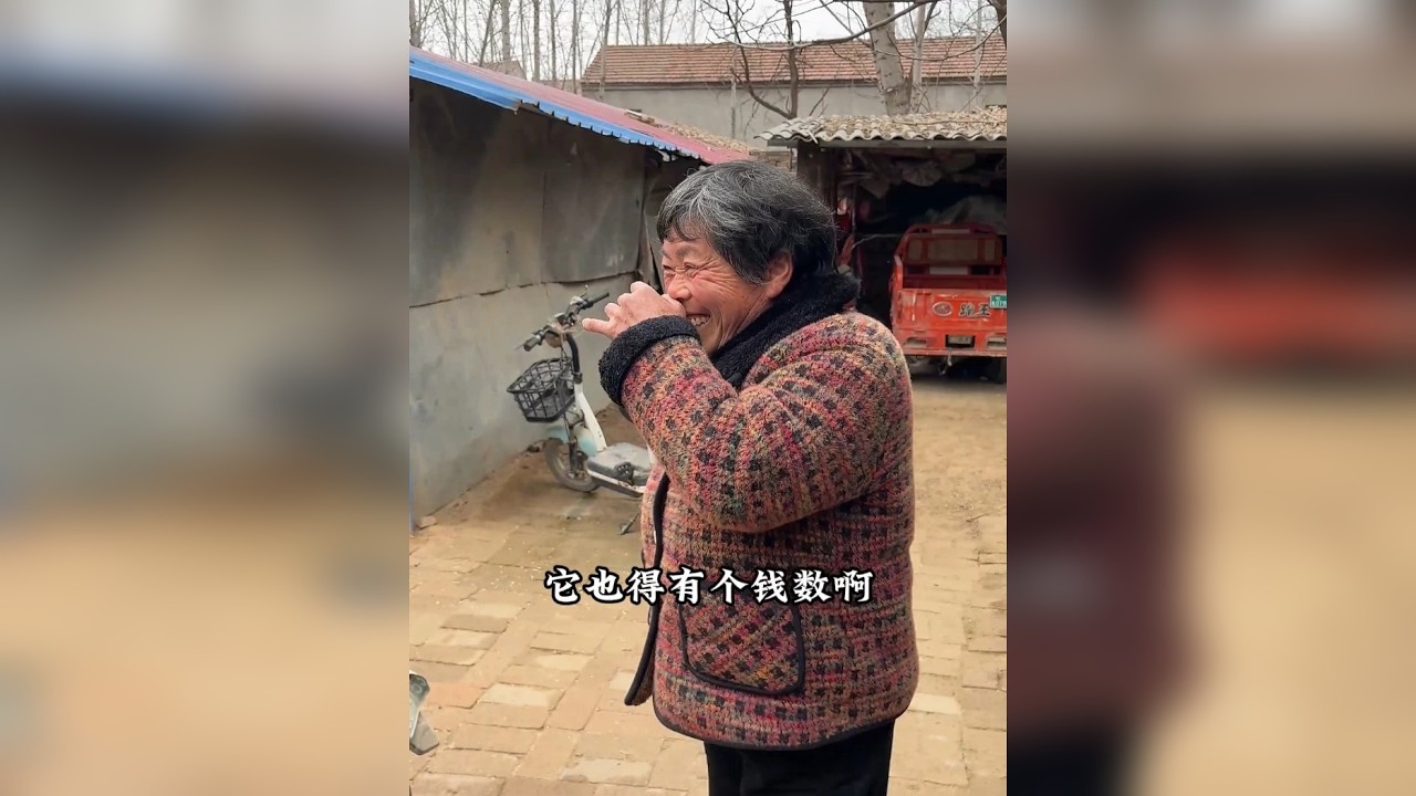 田间地头走一走。没有城市的喧嚣，只有最真实的烟火和人情味。