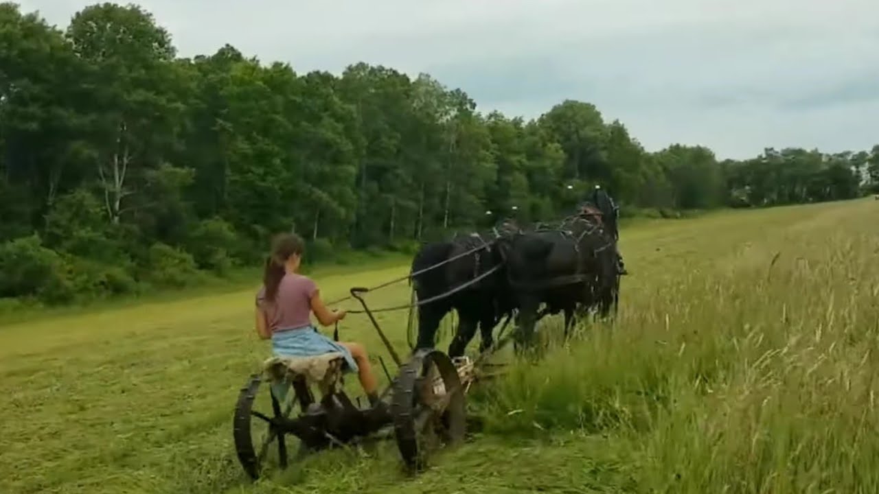 How and with what do they mow grass in different countries of the world / video collection