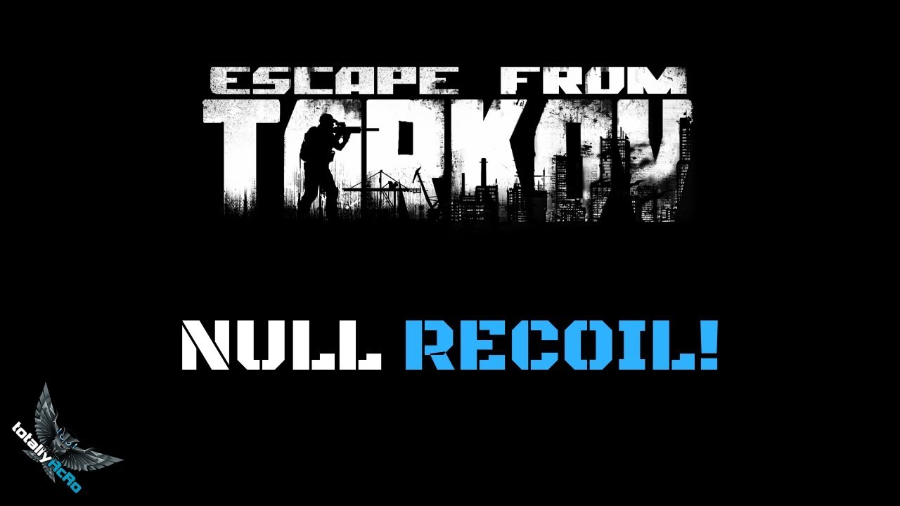 Null Recoil ohne Hacks - ESCAPE FROM TARKOV Recoil Kontrolle
