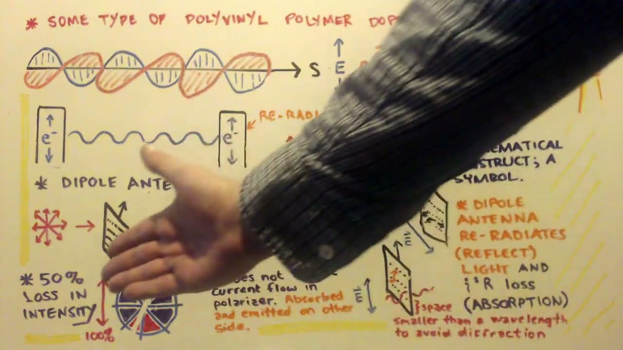 POLARIZER fundamentals and PARADOX solution PART 2