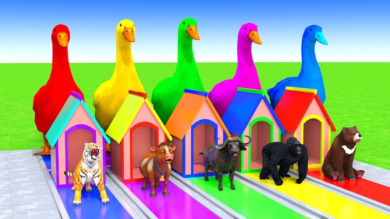 5 GIANT DUCKS and Friends Cross the Famous Fountain in EPIC Animation