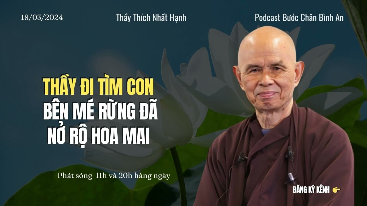 Thầy đi tìm con l Bên mé rừng đã nở rộ hoa mai | Thơ Thiền Hay | Thầy Thích Nhất Hạnh