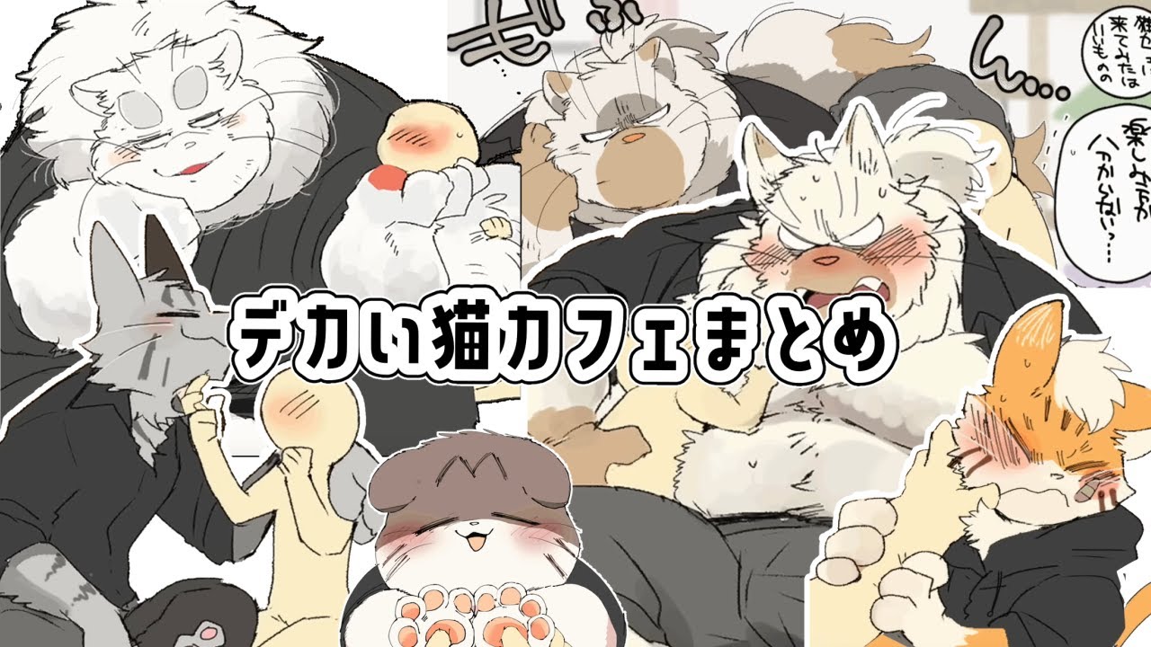 【猫の日】🐱デカい猫カフェまとめ🐱【cat day】
