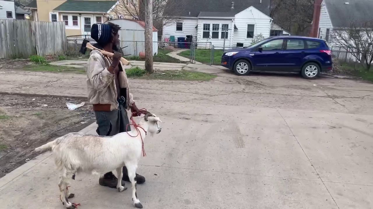 Uncle Beher funny video