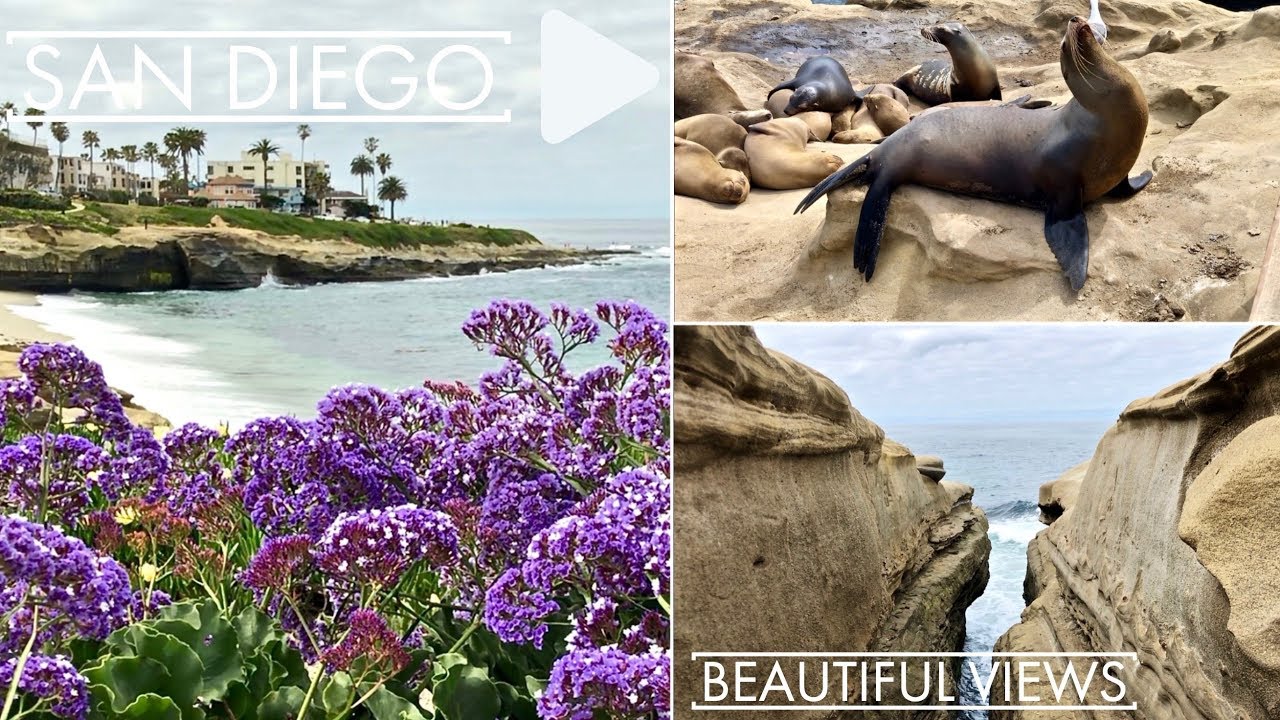 San Diego, California – La Jolla Cove – Mount Soledad & More – TVS Ep. 83