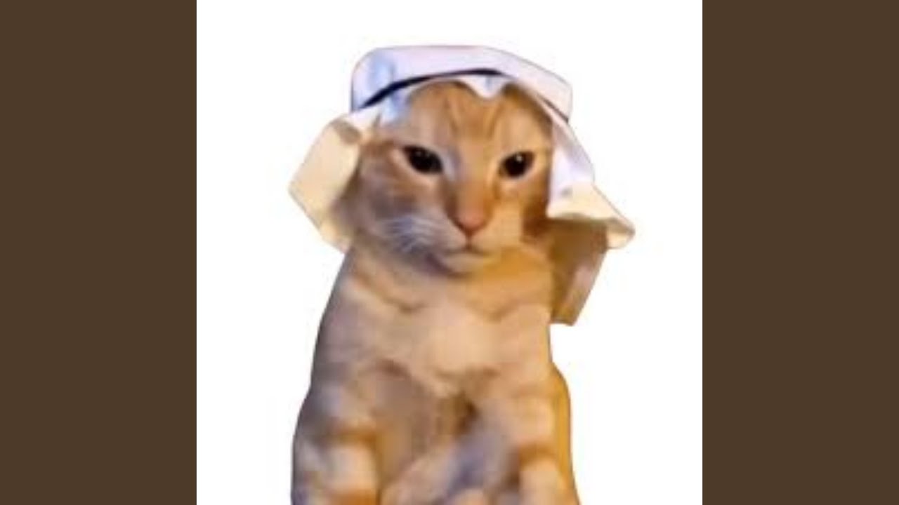 Arabian Cat Meow