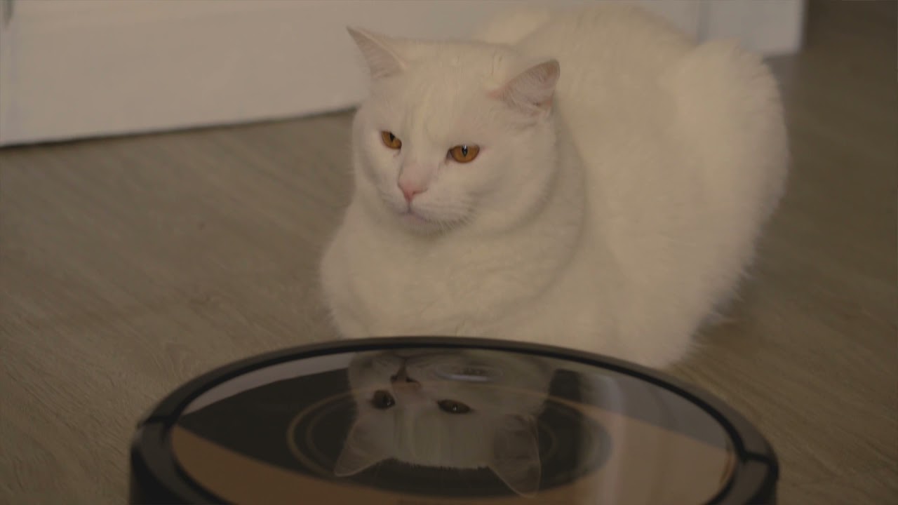 Tura TAURUS Robot Vacuum Cleaner Homeland