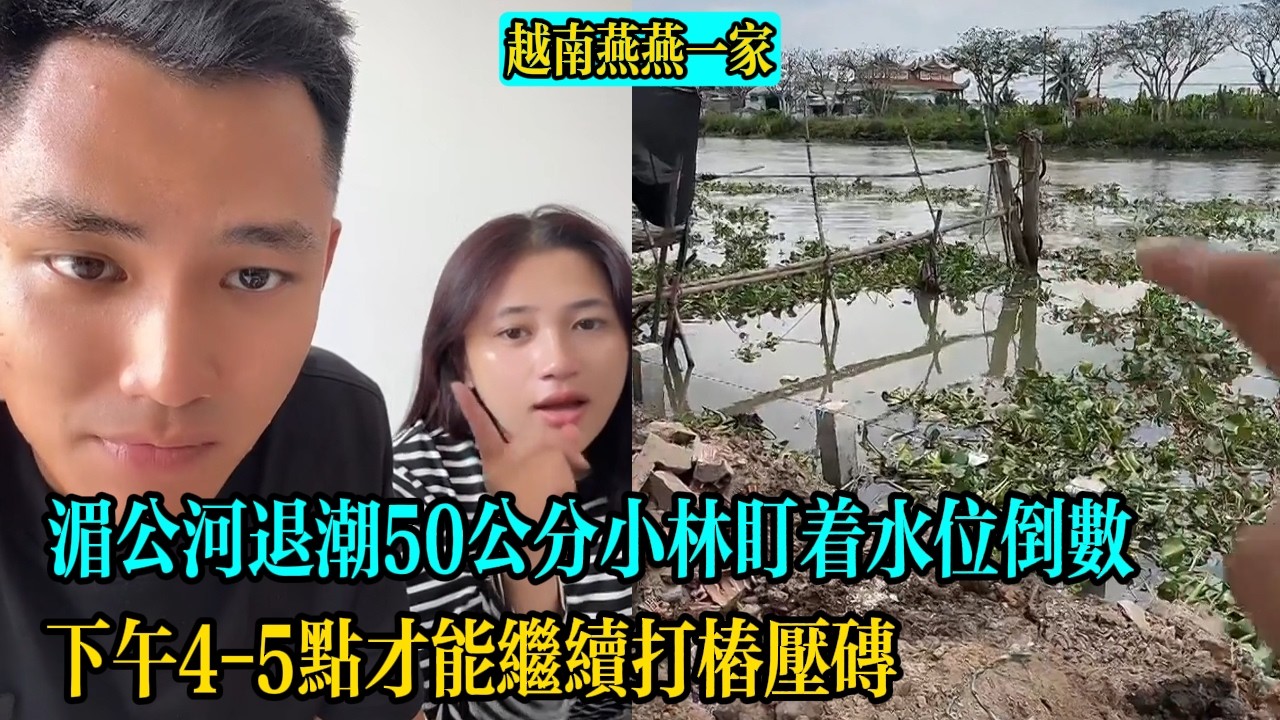 湄公河退潮50公分小林盯著水位倒數，下午4 5點才能繼續打樁壓磚【越南燕燕一家】