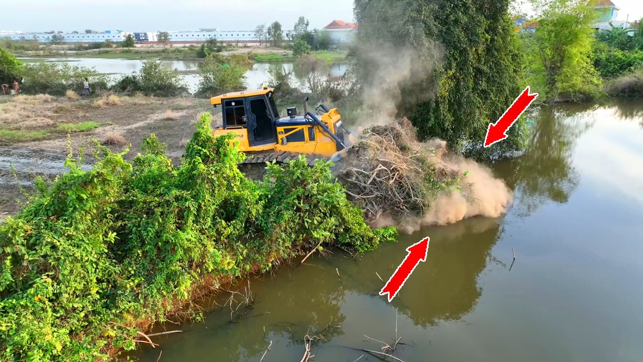AMAZING WORK !! The Best Team Work Bulldozer Push Tree With Push Stone And DumpTruck 25 TON