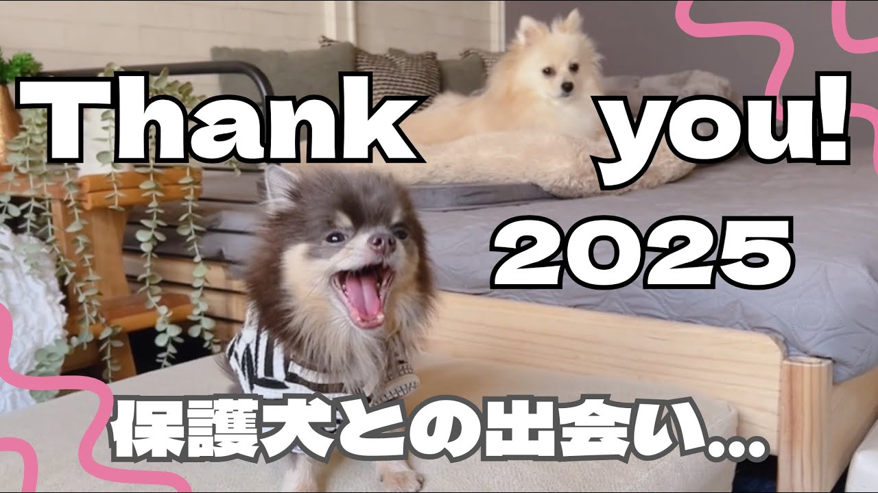 2025年振り返り