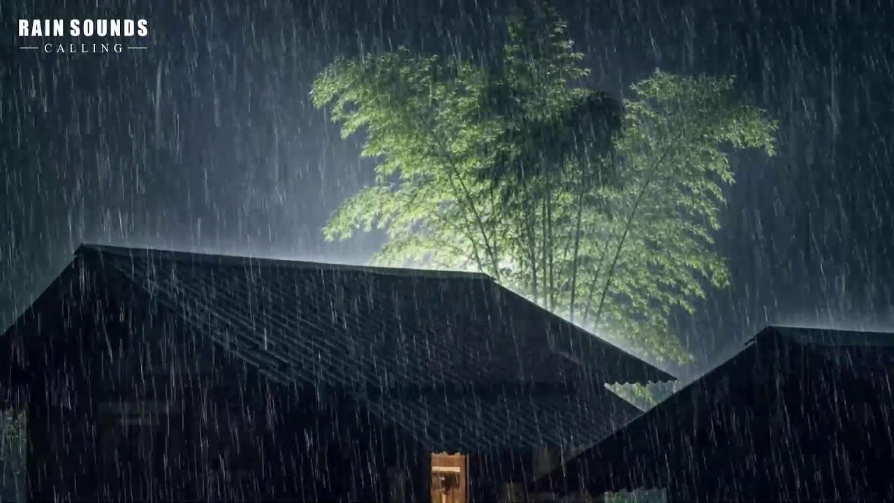 Rain Sounds for Sleeping - ASMR Rain & Thunder Sounds on Cabin Roof For Sleeping, Relaxing #Rain 44