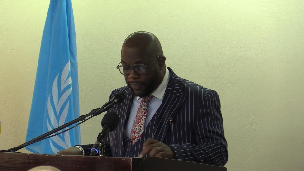 Minister Nicholls urges Caribbean postal sector to modernise