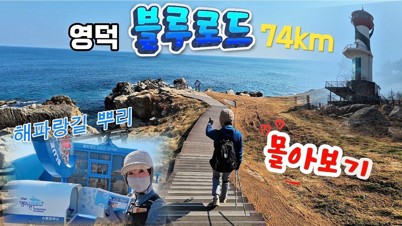새롭게 태어나는 영덕 블루로드 74km 전 구간 완주 한방에 몰아보기 🏁🌊 | 해파랑길의 뿌리