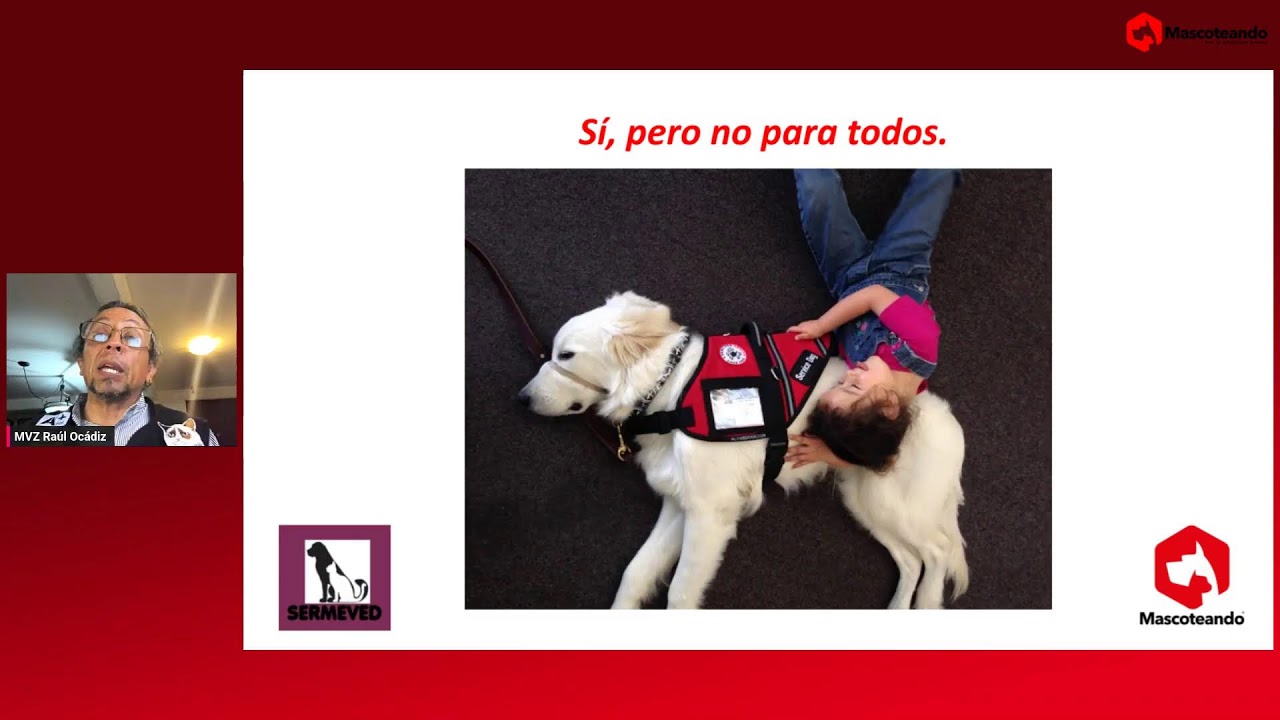 Mascoteando 11-03-2026