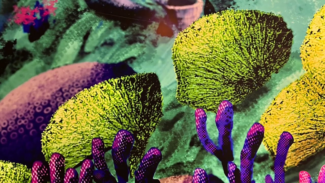 Dark Progressive DarkProg Psychedelic Trance DJ Mix Japanese Artist DJ iii background music BGM